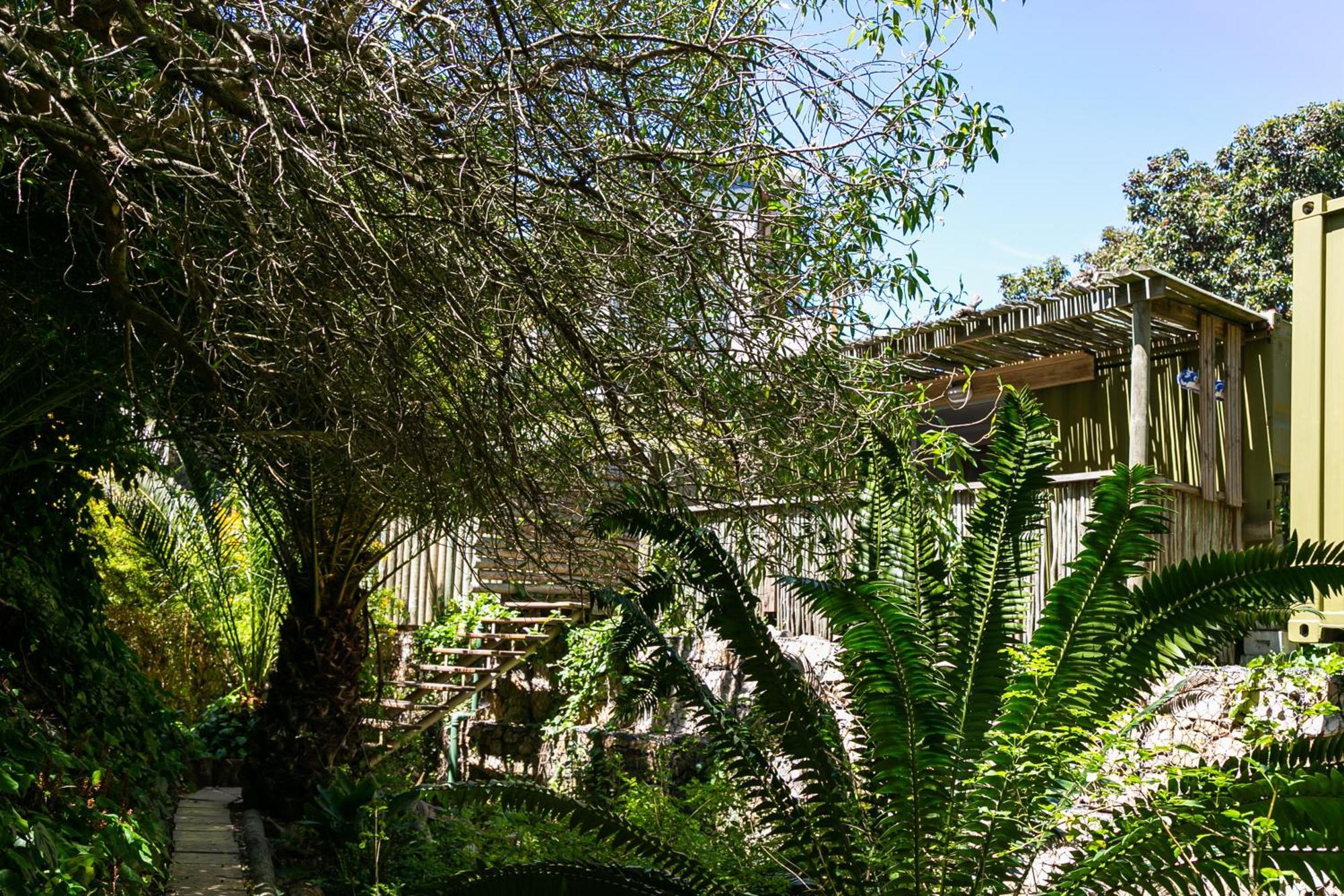 Camps Bay Forest Pods Ciudad del Cabo Exterior foto